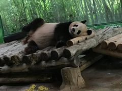 -杭州野生动物世界