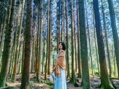 -武陵山森林公园