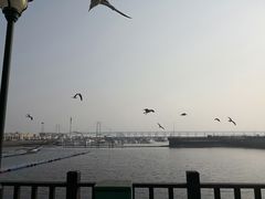 -添福来墨鱼饺子 · 海鲜东北菜(大连星海·黄浦路店)