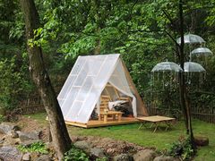 -北仑森林植物园