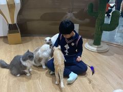 -1013 PET SHOP精品宠物商店(丁香店)
