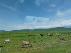 -新疆那拉提国家旅游度假区