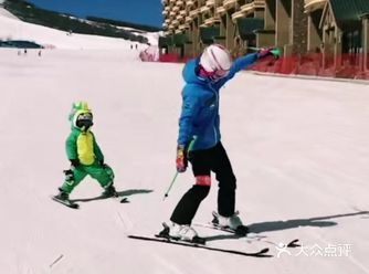 今天在网上看到一个正在练习滑雪的小朋友，她穿的恐龙滑