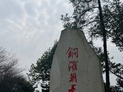 -铁山坪森林公园