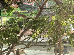-广州长隆飞鸟乐园
