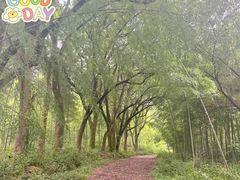 -杭州半山国家森林公园