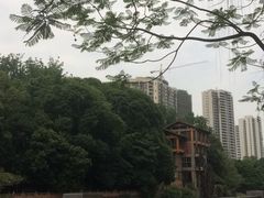-成都市活水公园