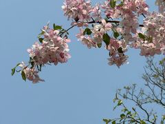 -海棠花溪(元大都城垣遗址公园)