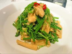 橄榄油鲜腐竹拌丝瓜尖-北平楼·烤鸭·北京菜(牡丹园店)