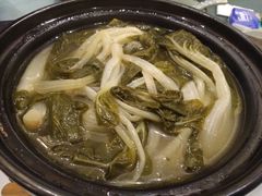 煲淋白菜-沙龙酒家