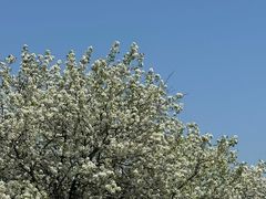 -东钱湖旅游度假区