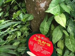 -呀诺达热带雨林