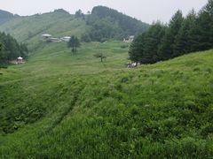 -驼梁风景区