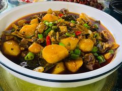 -青城甲(青城山店)