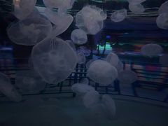 -精悦蓉(松江万达广场店)