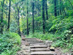 -素山寺森林公园