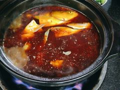 -老杨砂锅鱼庄