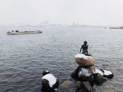 -美人鱼