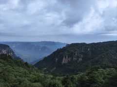 -王莽岭风景区