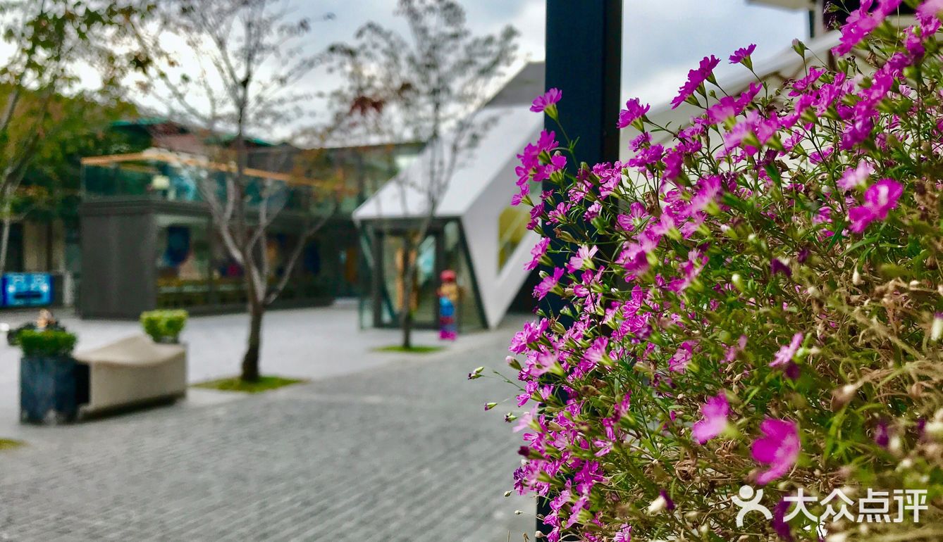 网红打卡集装箱星爸爸,建筑有点帅气哟!