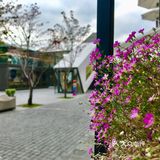 网红打卡集装箱星爸爸,建筑有点帅气哟!