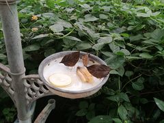 -蝴蝶泉公园