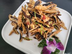 -翠林云庄大酒店