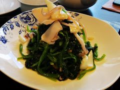 芥末菠菜拌海兔-东莱馋房(陆家嘴店)