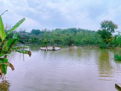 -黄龙溪欢乐田园