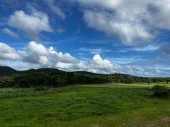-济州森林小火车生态公园