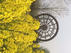 iphone_upload_pic-溱湖国家湿地公园