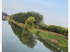 -东郊湿地公园