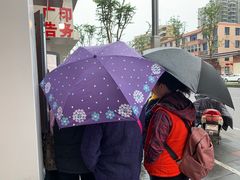 -邓氏兔头