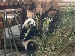 -泉州海丝野生动物世界