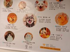 -柴迷FANS CLUB·柴犬狗咖·猫咖