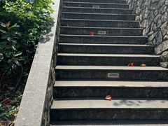 -佛山华盖山公园