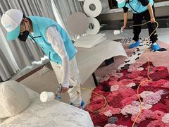 -Liteclear日本进口强效除甲醛检测治理(旗舰店)