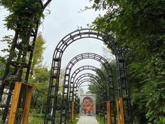 -金山农民画村-枫泾波兰倒置屋