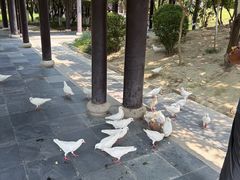 -东台西溪天仙缘景区