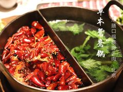 草本鸳鸯锅-盡膳口福跷脚牛肉火锅(合生汇购物中心店)