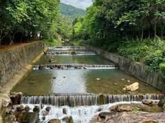 -广州白江湖森林公园