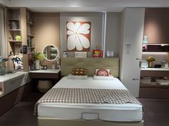 -索菲亚衣柜橱柜全屋定制(真北红星店)