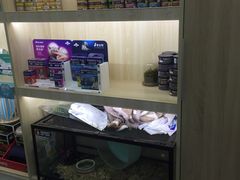 -佩兹宠物医院肿瘤专科·眼科·牙科(黄浦店)