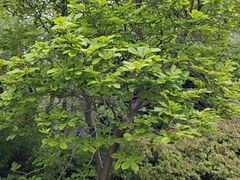 -宜兴龙背山森林公园