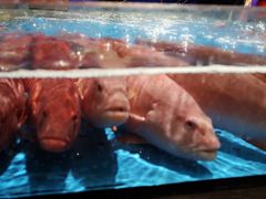 -徐记海鲜(观沙岭|滨江新城店)