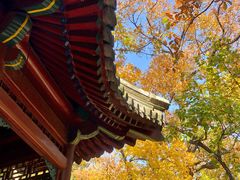 -大觉寺-停车场