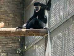 -石家庄市动物园