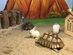 -华夏文旅海洋公园