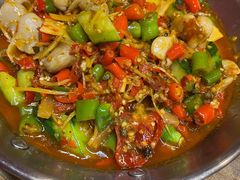 火爆仔姜鱼肚-成都吃客(九眼桥店)