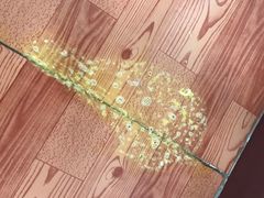 -菲丽丝宠物医院·24小时·猫科中心·免疫点(淮海分院)